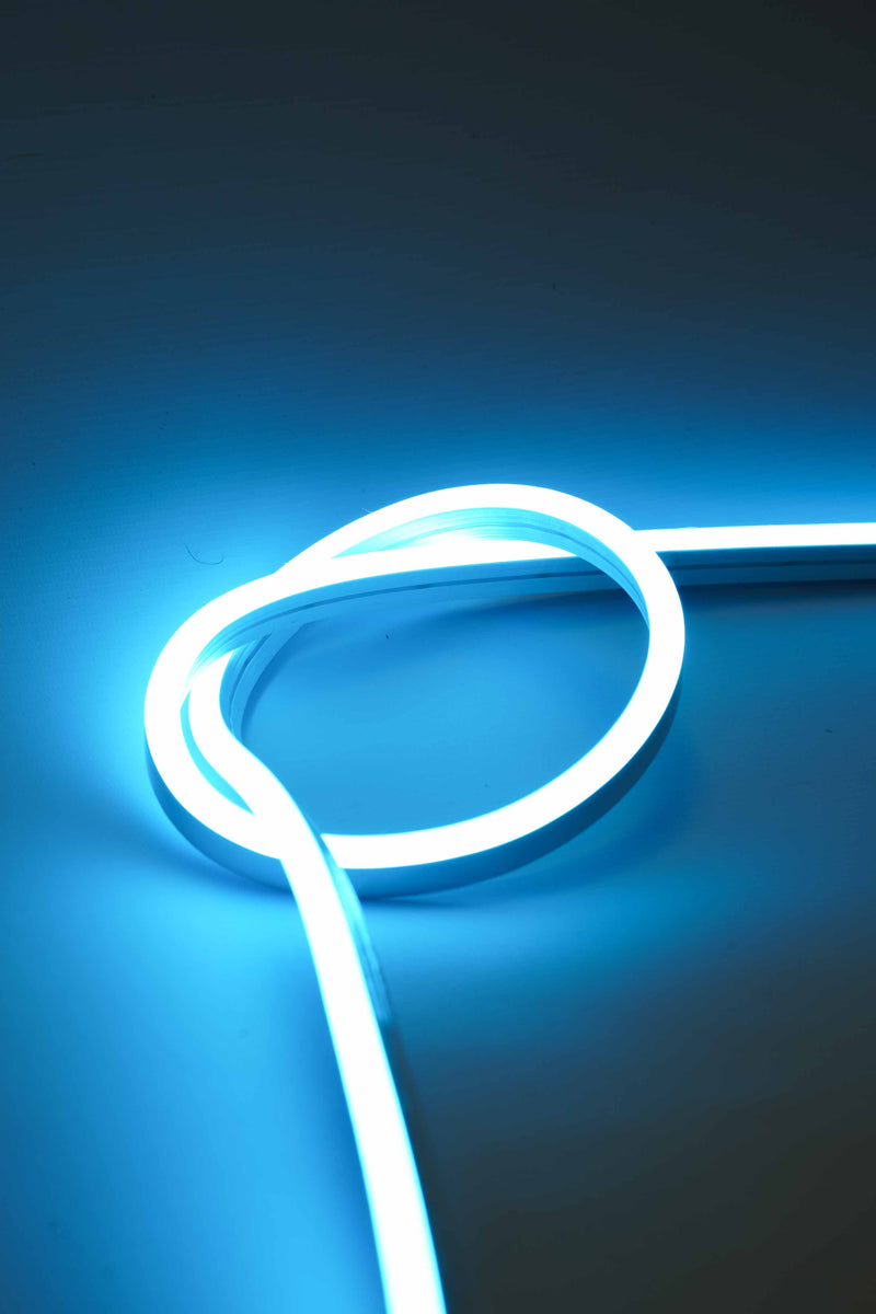 Neon Flex products – DDS UK Ltd